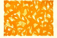 Orange-auf-Gelb-2011-Lithographie-Aufl.-2-Stck.-Motivgroesse-43x31-cm-auf-Buettenkarton-42x59-cm-22