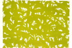 Reihe-green-and-yellow-2011-Lithographie-Aufl.-4-Stck.-Motivgroesse-43x31-cm-auf-Buettenkarton-42x59-cm-17