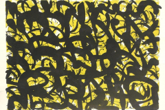 Reihe-green-and-yellow-2011-Lithographie-Aufl.3-Stck.-2-Motivgroesse-43x31-cm-auf-Buettenkarton-42x59-cm-19