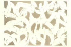 Skripturale-Strukturen-2012-Lithographie-Aufl.-4-Stck.-Motivgroesse-43x31-cm-auf-Buettenkarton-42x59-cm-8