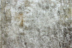 a.d.-Reihe-Beschreibungen-Tondruck-u.-Graphitkreide-auf-Seidenpapier12.12.2009-60-x-80-cm